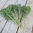 Frilly Kale - Red