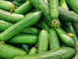 Cucumber midi