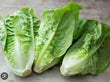 Lettuce - Mini Cos