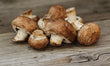 Mushrooms (Chestnut)