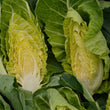 Spring Greens